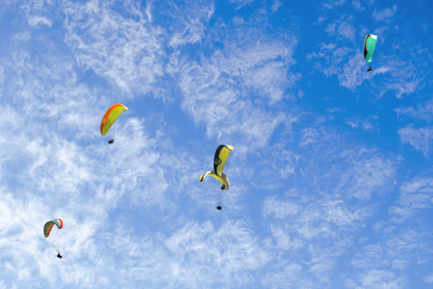 paragliding in Bir Billing Himachal Pradesh