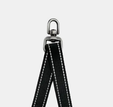 dog collars Australia
